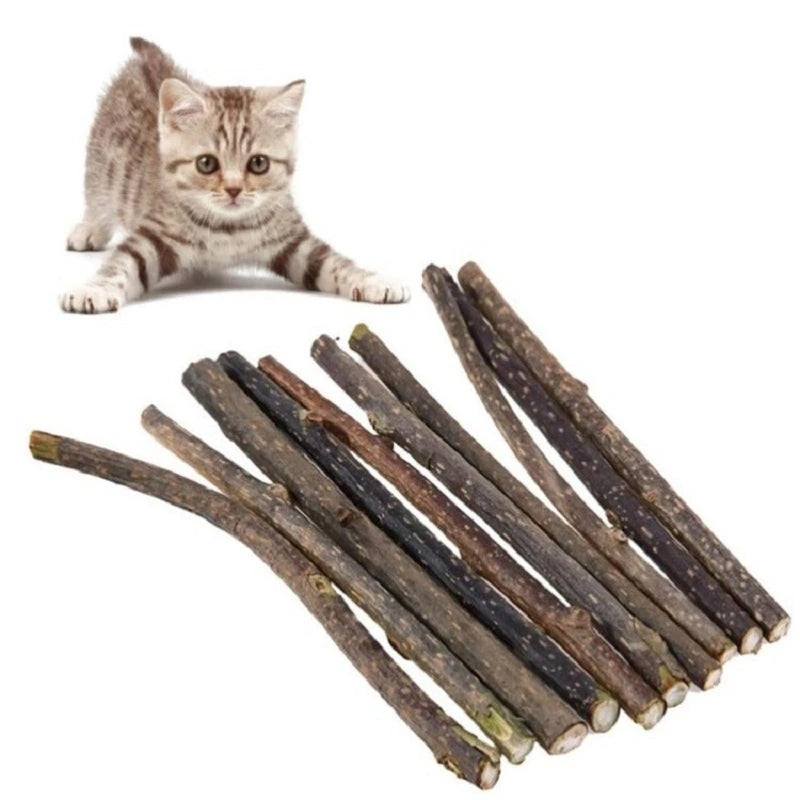 10/20/100 Peças Brinquedos de Catnip para Gatos Produtos para Animais de Estimação Coisas Interessantes para Pets Brinquedos Acessórios para Gatos de Menta Casa Jardim