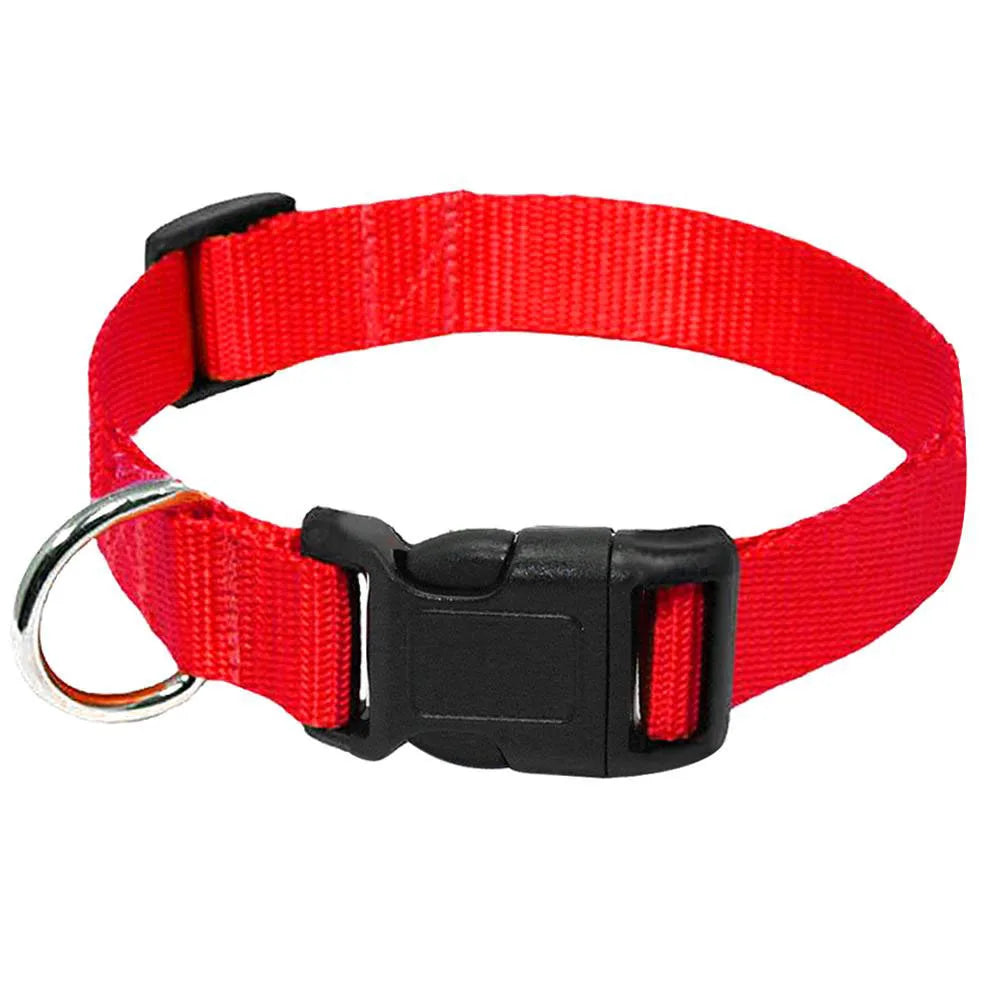 Coleira de Nylon para Cães com Fivela Resistente, Coleira para Animais de Estimação Pequenos e Médios, Chihuahua, Cores Vermelho, Preto, Azul, Roxo 20