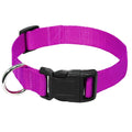 Coleira de Nylon para Cães com Fivela Resistente, Coleira para Animais de Estimação Pequenos e Médios, Chihuahua, Cores Vermelho, Preto, Azul, Roxo 20