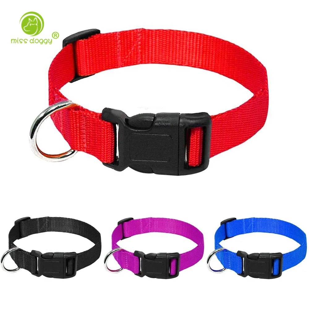 Coleira de Nylon para Cães com Fivela Resistente, Coleira para Animais de Estimação Pequenos e Médios, Chihuahua, Cores Vermelho, Preto, Azul, Roxo 20