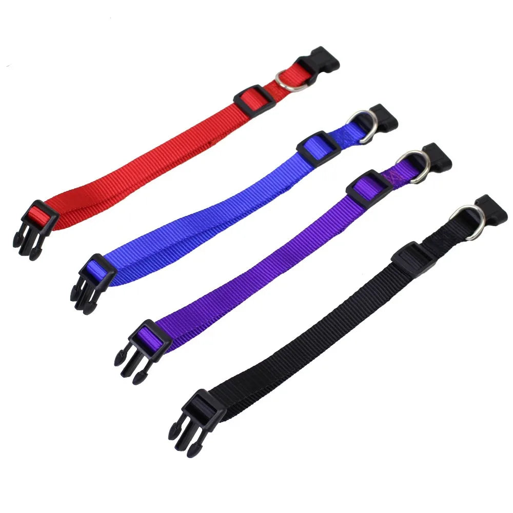 Coleira de Nylon para Cães com Fivela Resistente, Coleira para Animais de Estimação Pequenos e Médios, Chihuahua, Cores Vermelho, Preto, Azul, Roxo 20