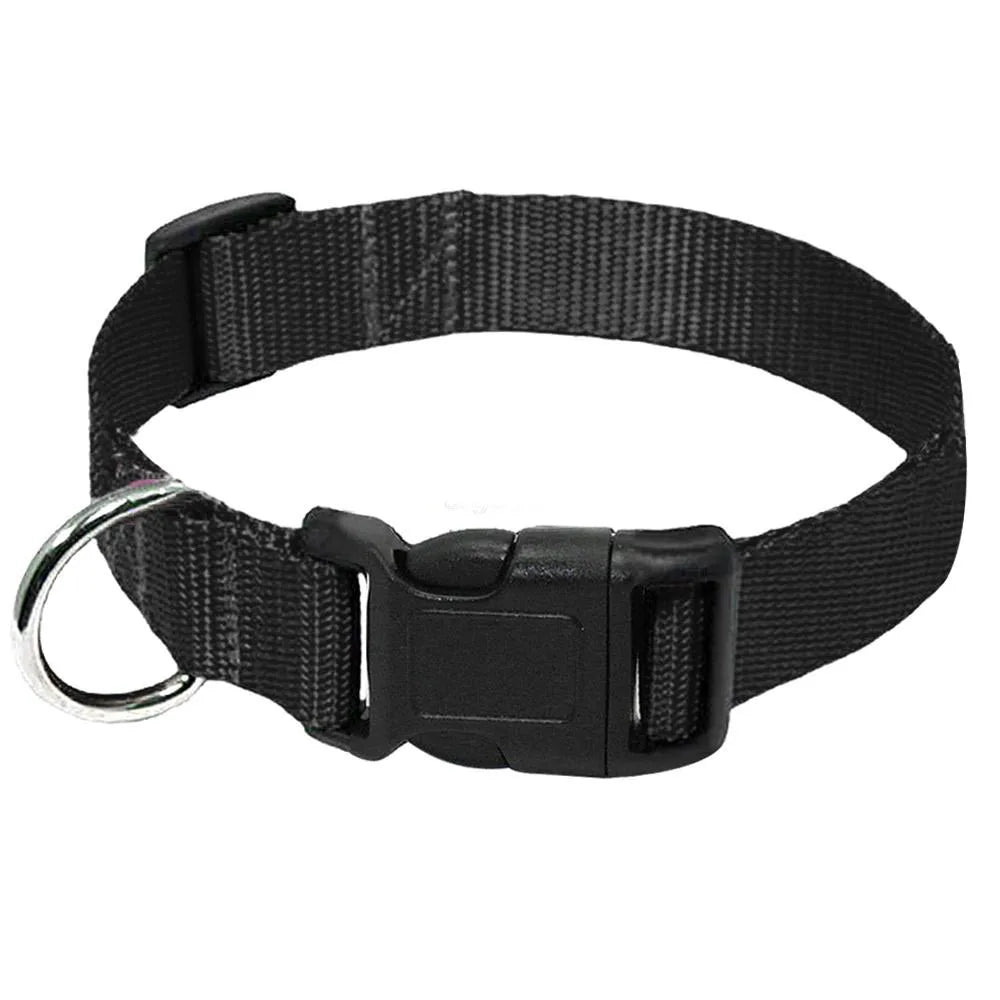 Coleira de Nylon para Cães com Fivela Resistente, Coleira para Animais de Estimação Pequenos e Médios, Chihuahua, Cores Vermelho, Preto, Azul, Roxo 20