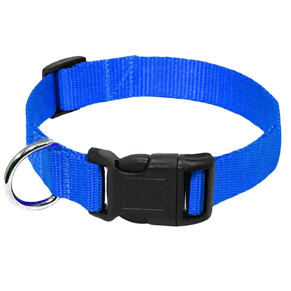 Coleira de Nylon para Cães com Fivela Resistente, Coleira para Animais de Estimação Pequenos e Médios, Chihuahua, Cores Vermelho, Preto, Azul, Roxo 20