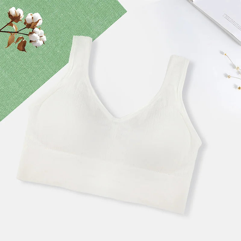 Sutiã Esportivo Feminino Respirável Roupa Íntima Feminina Fitness