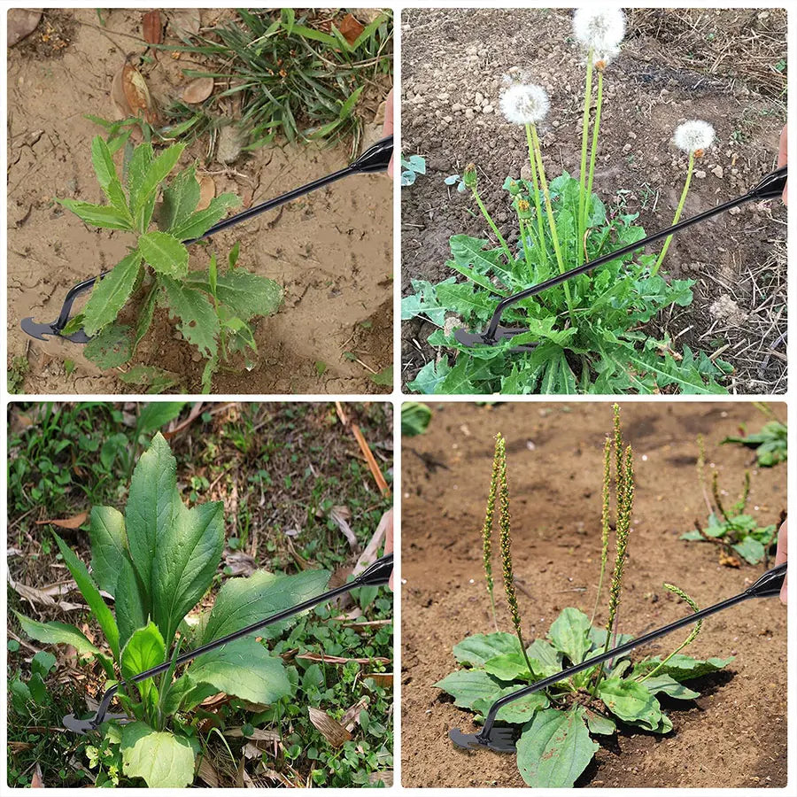 Hand Herbicide