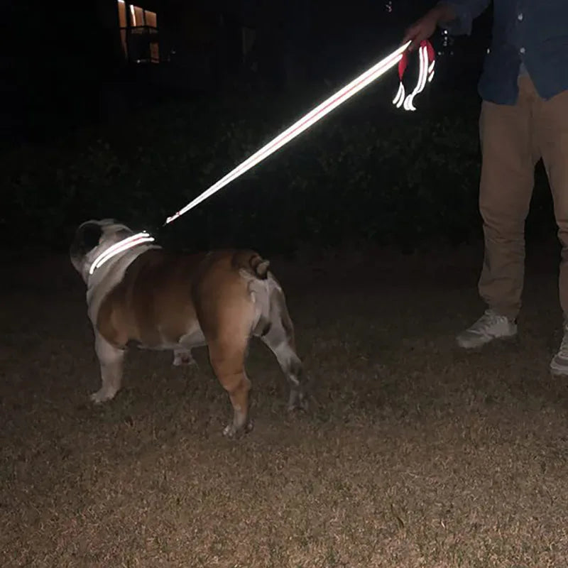 Coleira para Cães e Gatos, Arnês, Guia, Cinta Reflexiva Noturna para Cães, Corda de Reboque para Animais de Estimação 1,2/1,5/1,8m, Corda de Proteção, Trela para Caminhada e Treinamento de Animais de Estimação