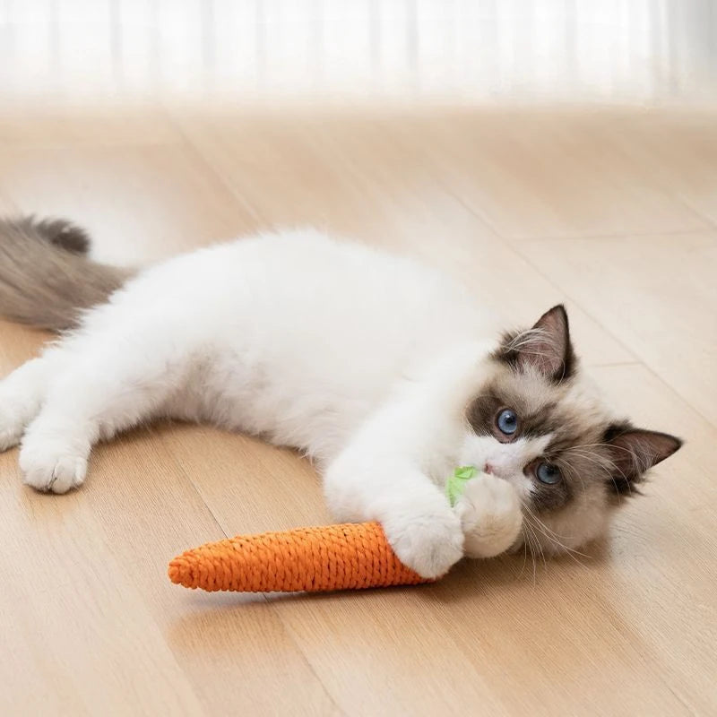 2024 Novos Brinquedos para Gatos Cenoura Sonora Bastão de Pelúcia para Gatos Desde Fun Fun Bastão de Mordedura para Gatos Anti-mordida Arranhador para Gatos Suprimentos para Animais de Estimação