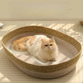 Natural Rattan Cama para Gato Nest Universal Seasons Pumpgrass...