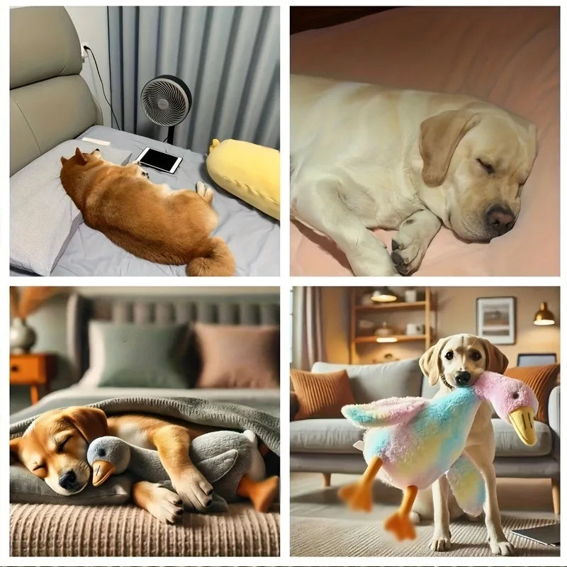 Brinquedo de Pelúcia Pato Macio e Colorido de 50cm para Gatos e Cães, Companheiro Relaxante para Animais de Estimação, Alivia a Ansiedade, Amigo do Cão, Libera Energia, Presente para Animais de Estimação
