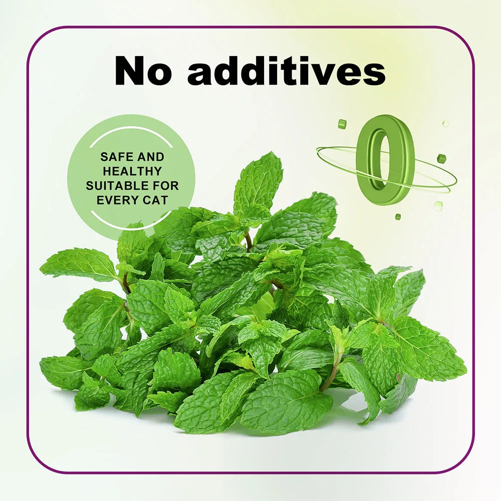 Catnip Orgânico Seguro Mistura Premium Perfeita para Gatos, Infundido com Potência Maximizada Seu Gatinho Vai Pirar Garantido 100ML