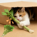 Gato Chew Toys Erva-do-Gato Teeth Limpeza Toy Interactive Self...