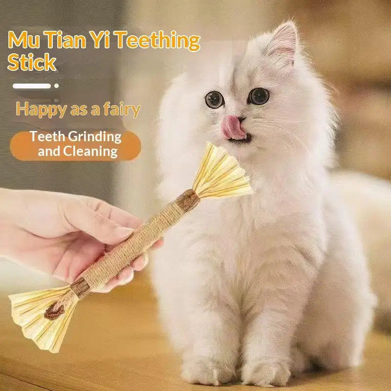 NOVO 1/2 Peças Brinquedos para Gato Feitos de Polygonum Odoratum Nó Cístico de Inseto Corda de Sisal Raffia Brinquedos para Limpeza de Dentes Varas Provocadoras para Gatos