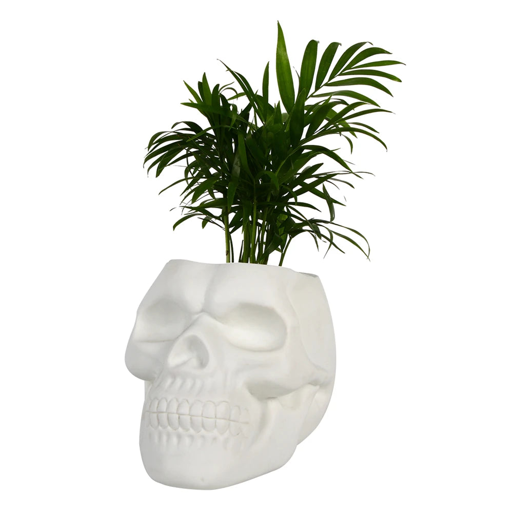 Skull Shaped Pen