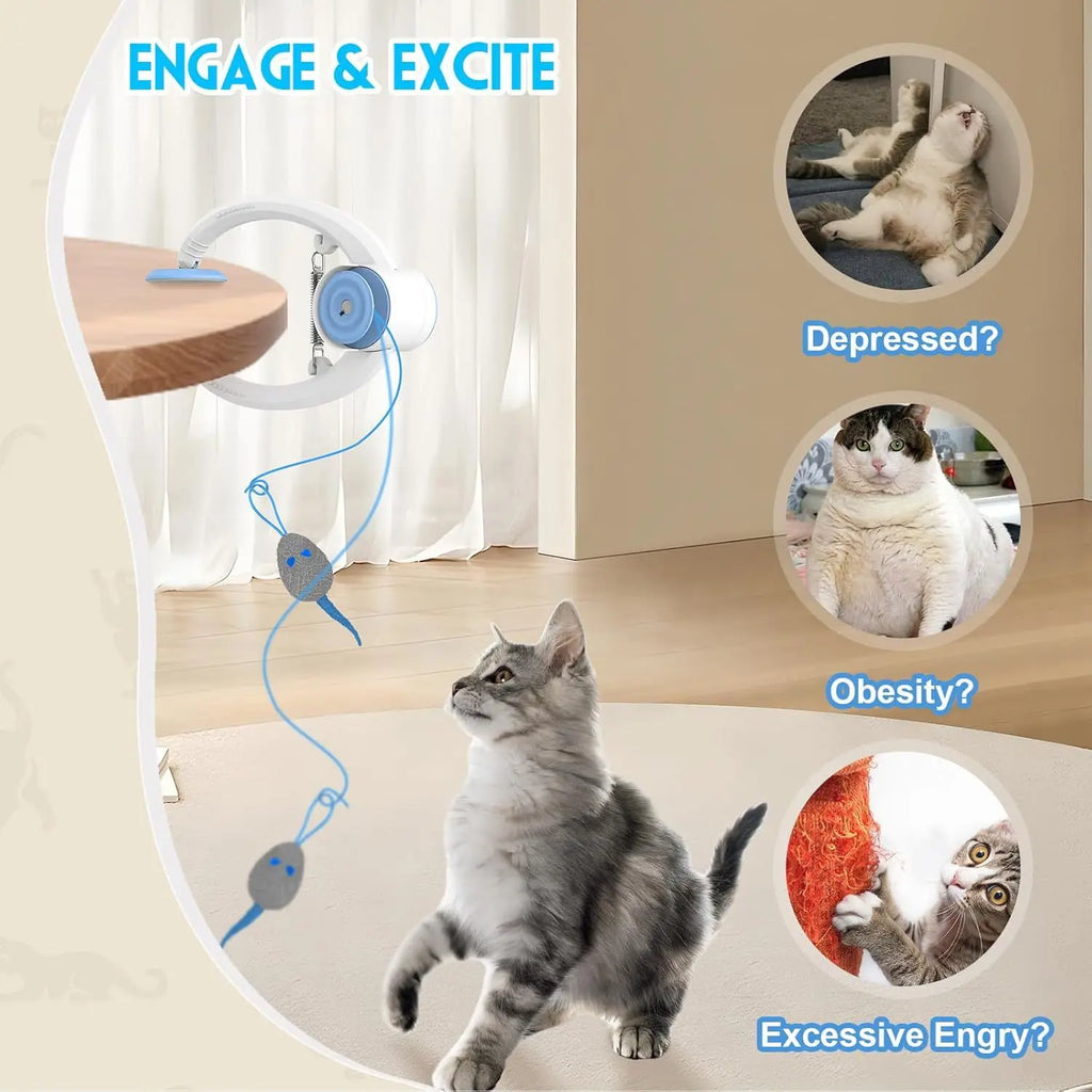 Brinquedo para Gatos Balanço Disco Pegajoso Elástico Pendurar na Porta Corda Longa para Gatos Provocador Acessórios para Gatos Brinquedo para Gatinhos