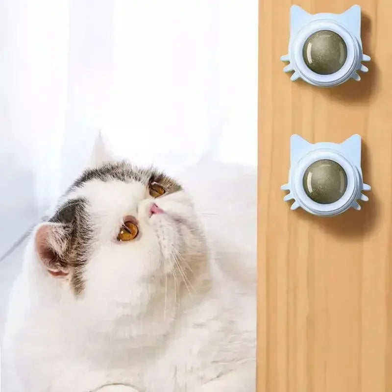 Brinquedos de Catnip para Gatos Internos Bola Giratória de Parede Interativa Hortelã Natural Melhora a Digestão Estimulante de Apetite Cuidados Dentários para Gatos