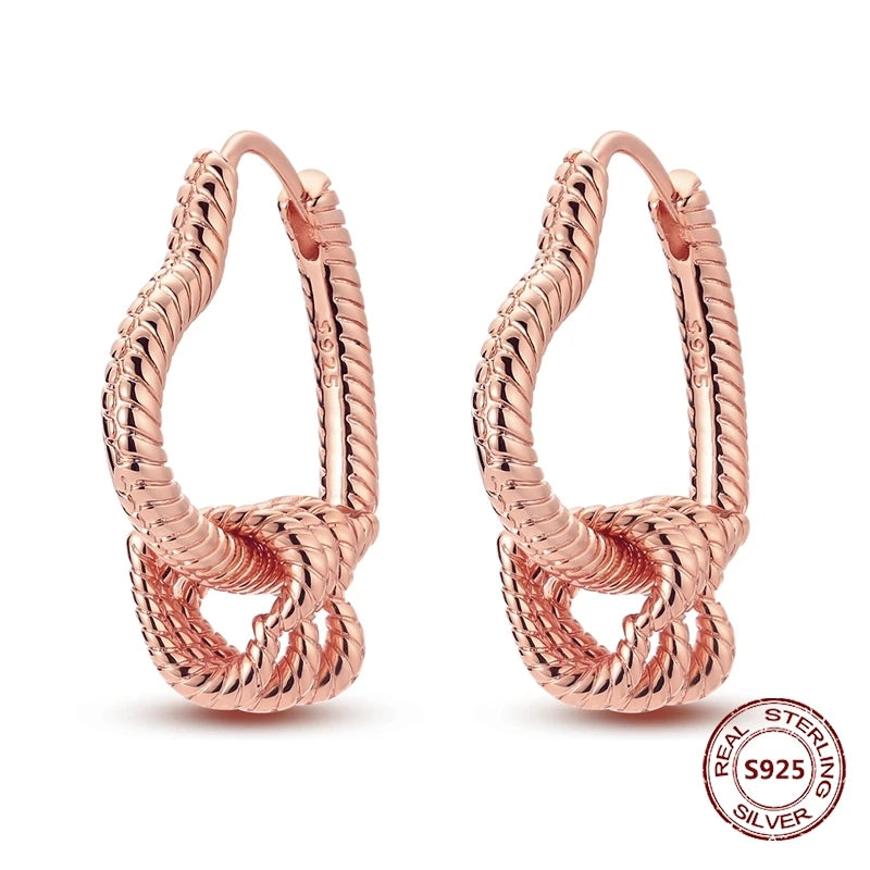 Love Heart Earrings 925 Sterling Silver Original Shining Zircon Heart Hoop Earrings For Women Wedding Anniversary Jewelry Gift