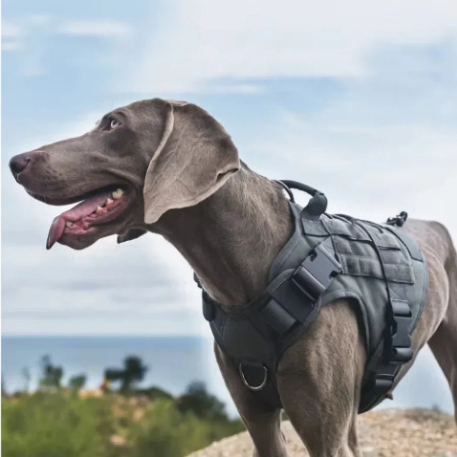 Coleira de Peitoral Tático para Cães Médios e Grandes Coleira para Cães Colete Militar para Cães Arnês Ajustável para Cães de Serviço para Treinamento e Caminhada