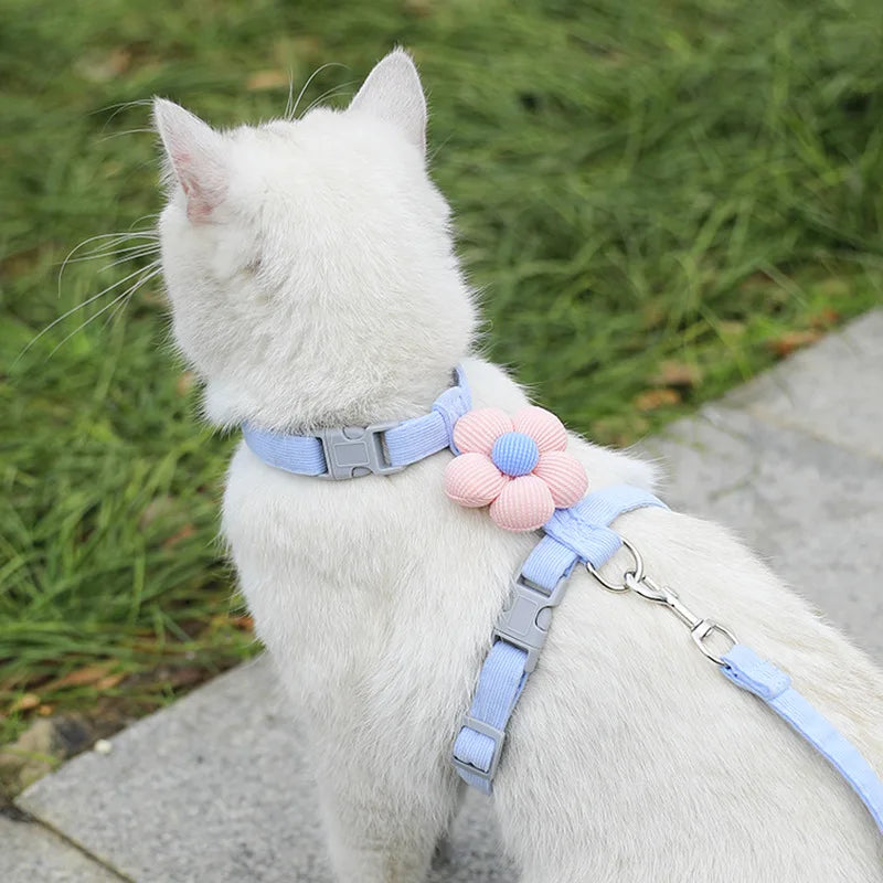 Coleiras e Guias para Gatos, Peitoral Ajustável para Cães Pequenos, Coleira Respirável para Animais de Estimação para Passeio, Alça para Cães