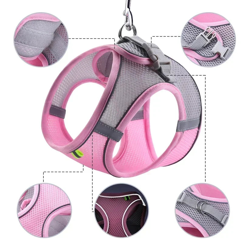 Conjunto de Coleira e Peitoral para Cães Pequenos Bulldog Francês Chihuahua Pug Coleira de Caminhada ao Ar Livre Coleira Ajustável para Filhotes de Cachorro e Gatos