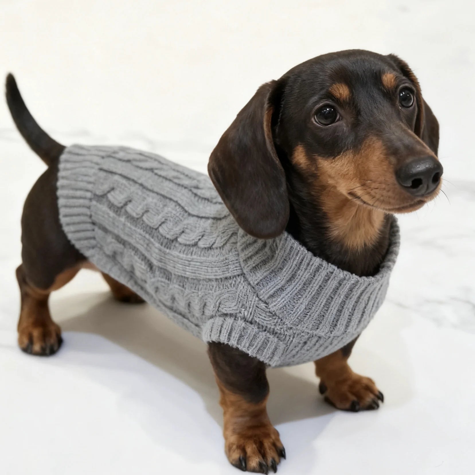 Colete Suéter de Tricô Quente de Inverno com 2 Pernas para Cães Salsicha Colete Sem Mangas de Cor Sólida para Cães Dachshund Casaco Macio para Dachshund Pequeno e Médio