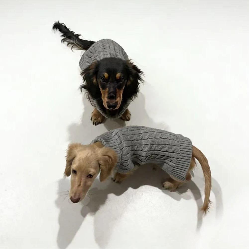 Colete Suéter de Tricô Quente de Inverno com 2 Pernas para Cães Salsicha Colete Sem Mangas de Cor Sólida para Cães Dachshund Casaco Macio para Dachshund Pequeno e Médio