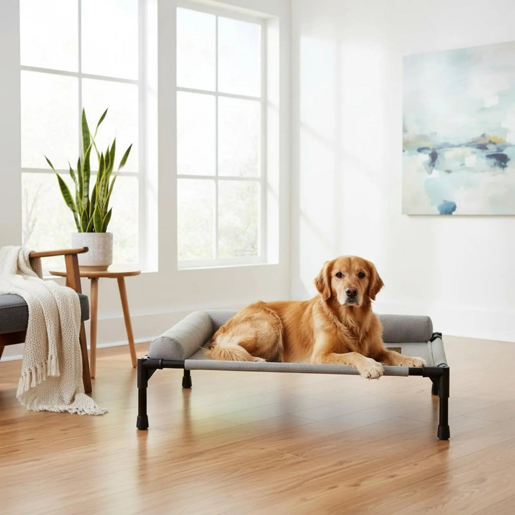 Cama Elevada para Pets Uso em Todas as Estações Cama Elevada para Cães e Gatos Camas Dobráveis para Pets Estrutura Resistente com Suporte para Travesseiro para Felinos, Viagem