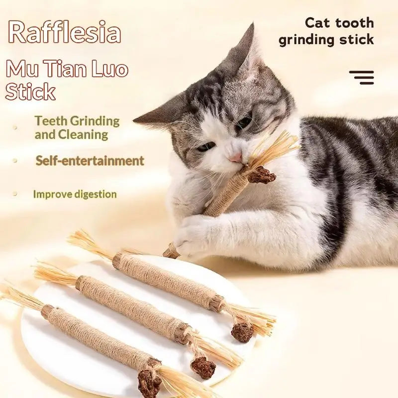 NOVO 1/2 Peças Brinquedos para Gato Feitos de Polygonum Odoratum Nó Cístico de Inseto Corda de Sisal Raffia Brinquedos para Limpeza de Dentes Varas Provocadoras para Gatos