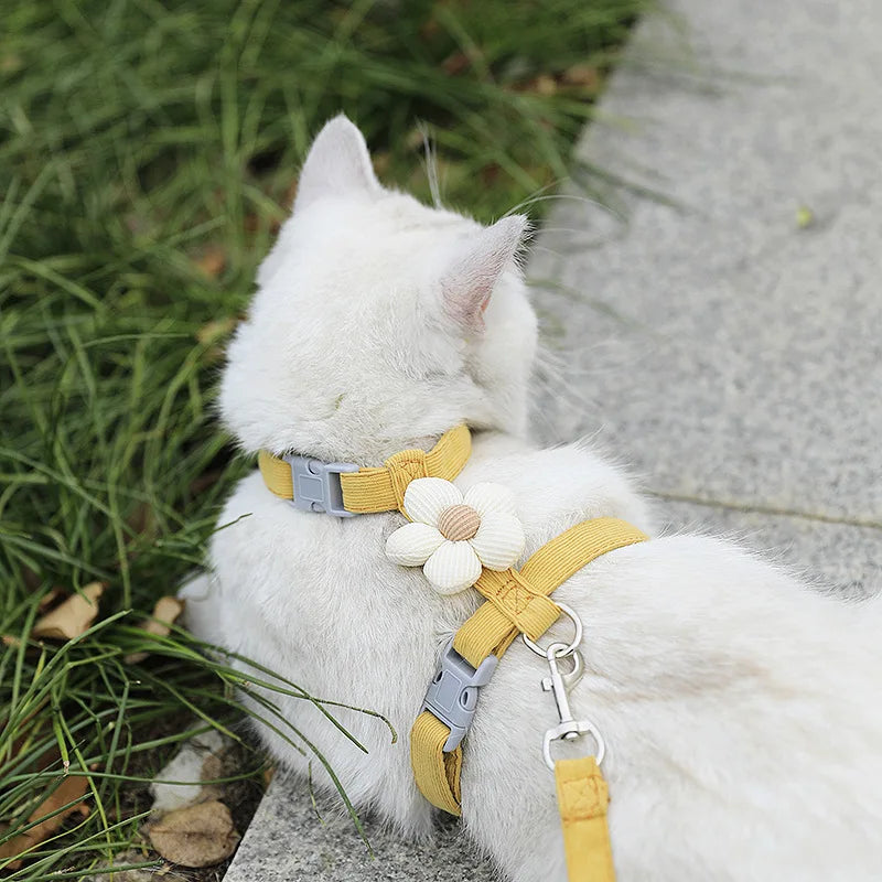 Coleira e Guia para Gatos, Peitoral Ajustável para Cães Pequenos, Guia Respirável para Animais de Estimação, Peitoral para Passeio, Alça para Cães