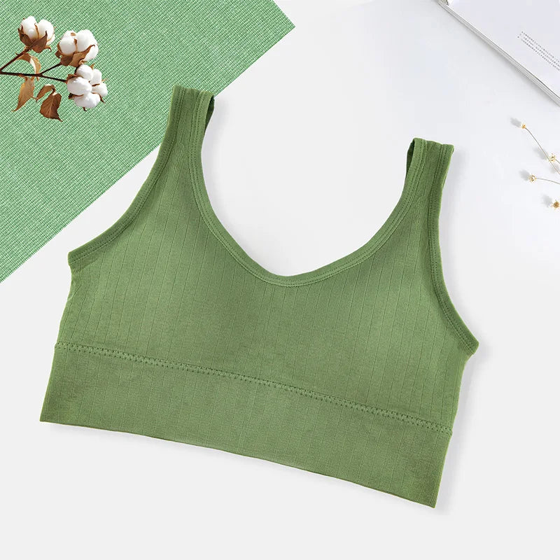 Sutiã Esportivo Feminino Respirável Roupa Íntima Feminina Fitness