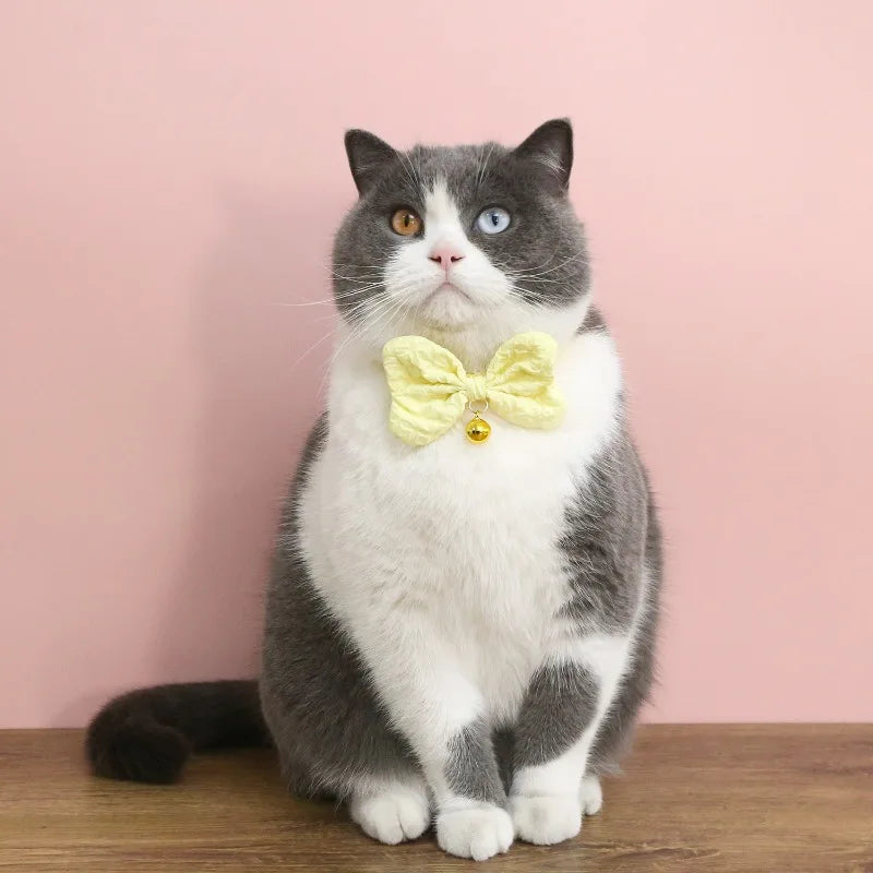 Coleira de Cachorro Pequeno Cor Sólida Ajustável com Sino Gravata Borboleta para Gatos Unissex Aniversário Acessórios de Pescoço para Filhotes de Estimação