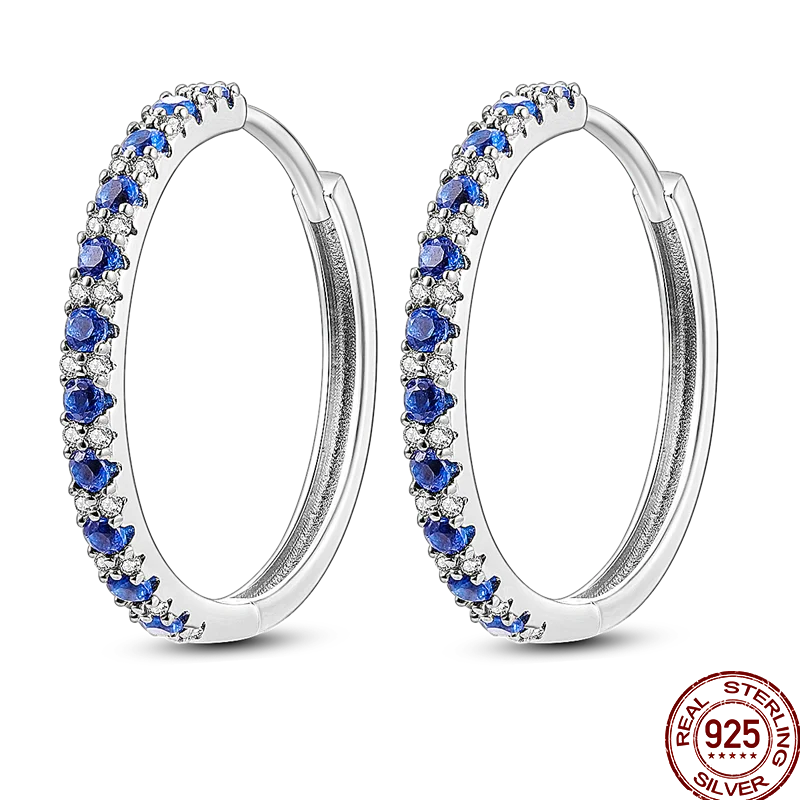 Earrings 925 Sterling Silver Colorful Shiny Zircon Earrings Temperament Charm Luxury Party Jewelry Gift Birthday Anniversary