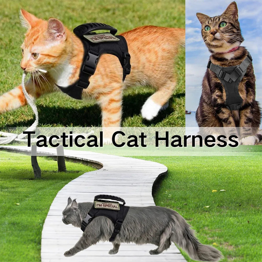 Coleira Peitoral Tática Para Cães e Gatos de Trabalho Ajustável para Pets Colete Peitoral de Malha Macia para Treinamento de Filhotes com Alça para Gatos Grandes