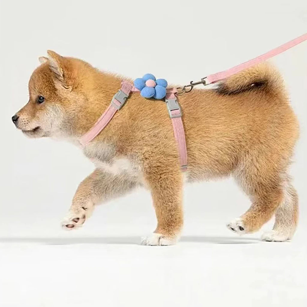 Coleiras e Guias para Gatos, Peitoral Ajustável para Cães Pequenos, Coleira Respirável para Animais de Estimação para Passeio, Alça para Cães