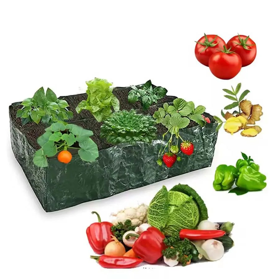 WonderNest 4/6/8 Grid Fabric Grow Bag Plant Container