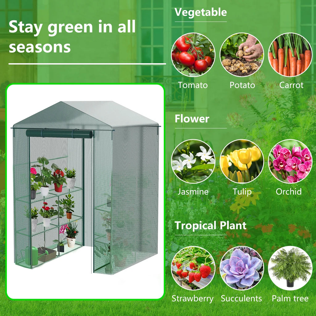 Plant Gardening