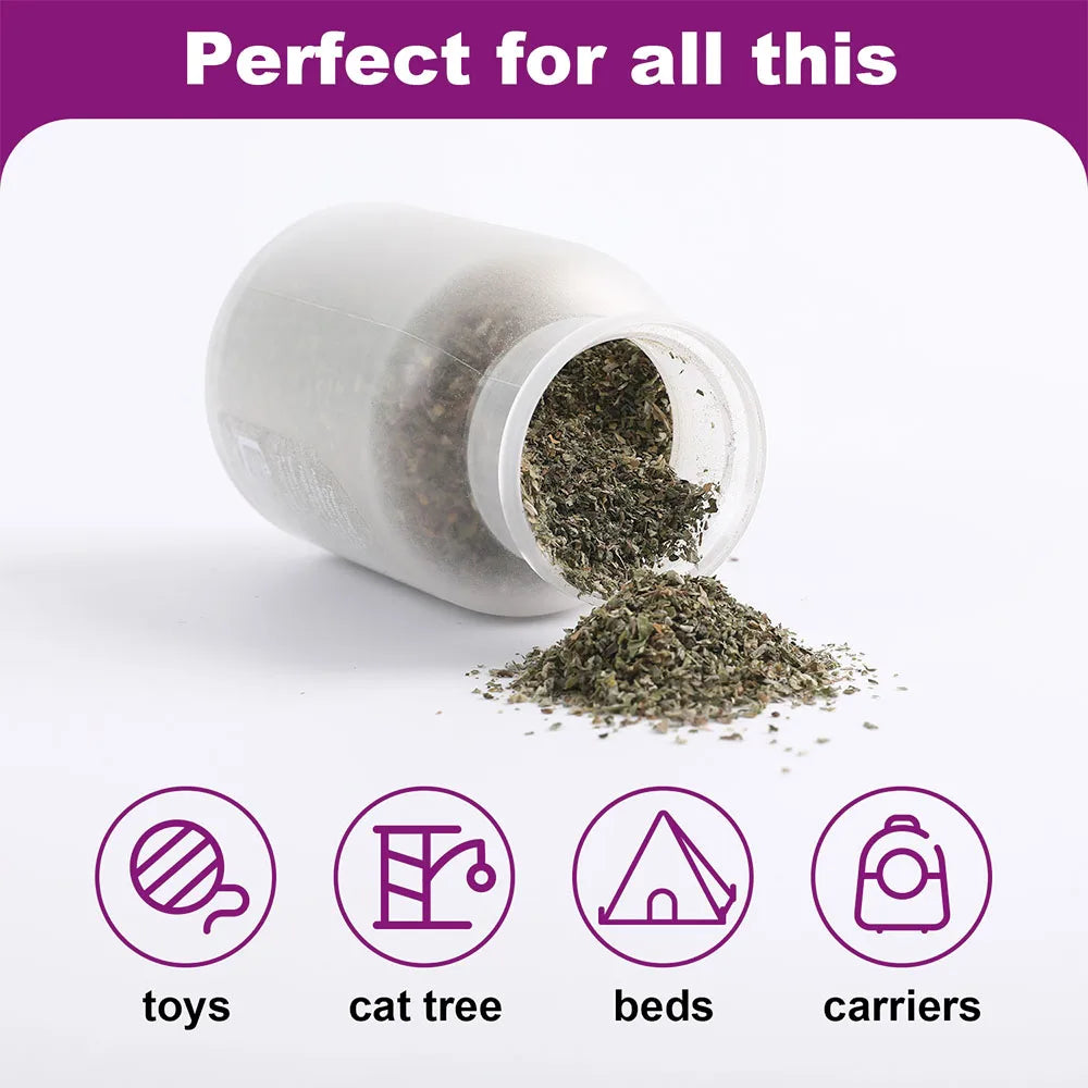 Catnip Orgânico Seguro Mistura Premium Perfeita para Gatos, Infundido com Potência Maximizada Seu Gatinho Vai Pirar Garantido 100ML
