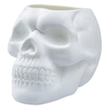 Skull Shaped Pen