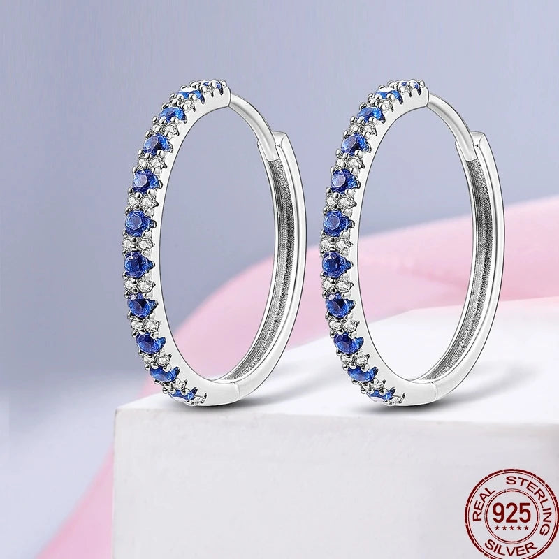 Earrings 925 Sterling Silver Colorful Shiny Zircon Earrings Temperament Charm Luxury Party Jewelry Gift Birthday Anniversary