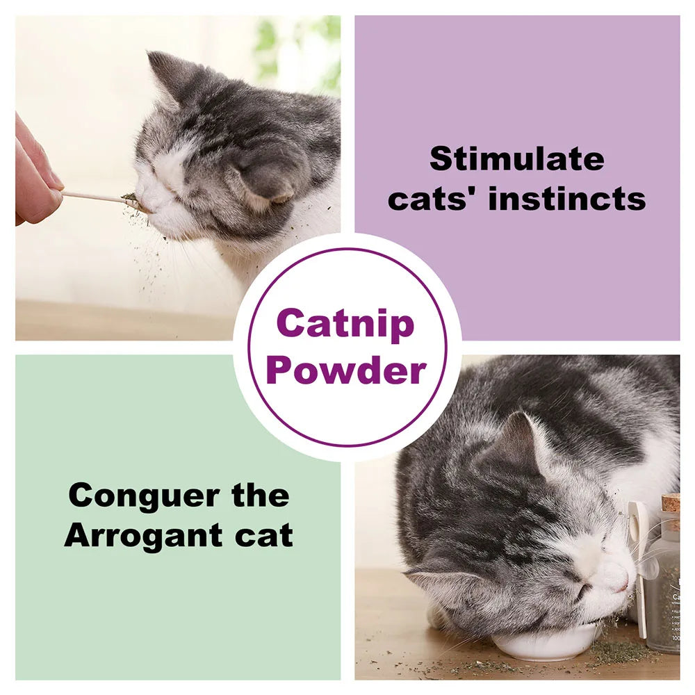 Catnip Orgânico Seguro Mistura Premium Perfeita para Gatos, Infundido com Potência Maximizada Seu Gatinho Vai Pirar Garantido 100ML