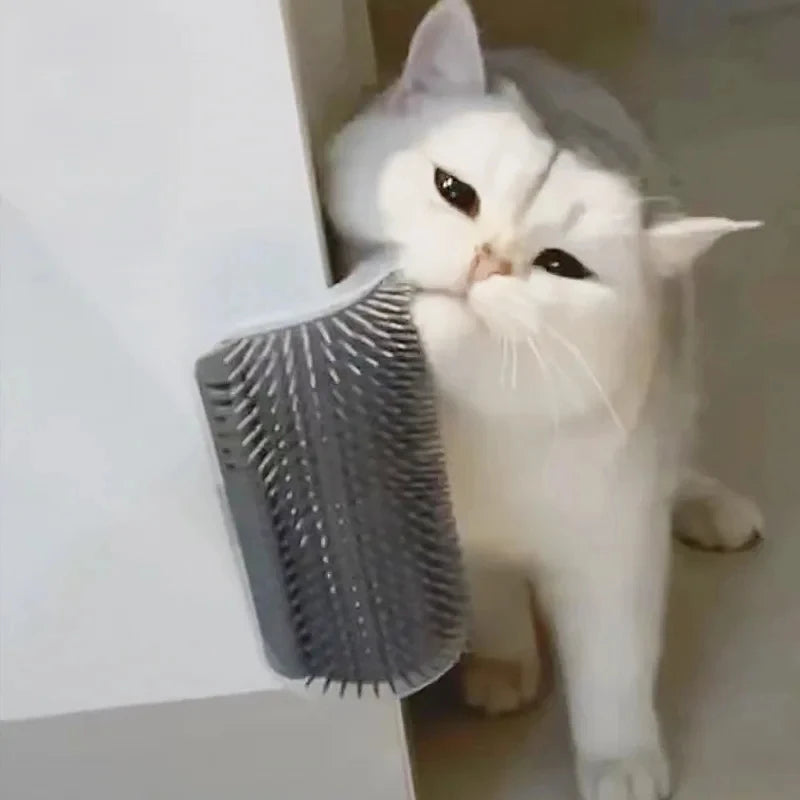 Escova Para Gatos e Cães Brinquedo de Pelúcia Para Gatos Removedor de Pelos Macio Massageador Com Catnip Arranhador Para Gatos e Cães Acessórios Para Gatos