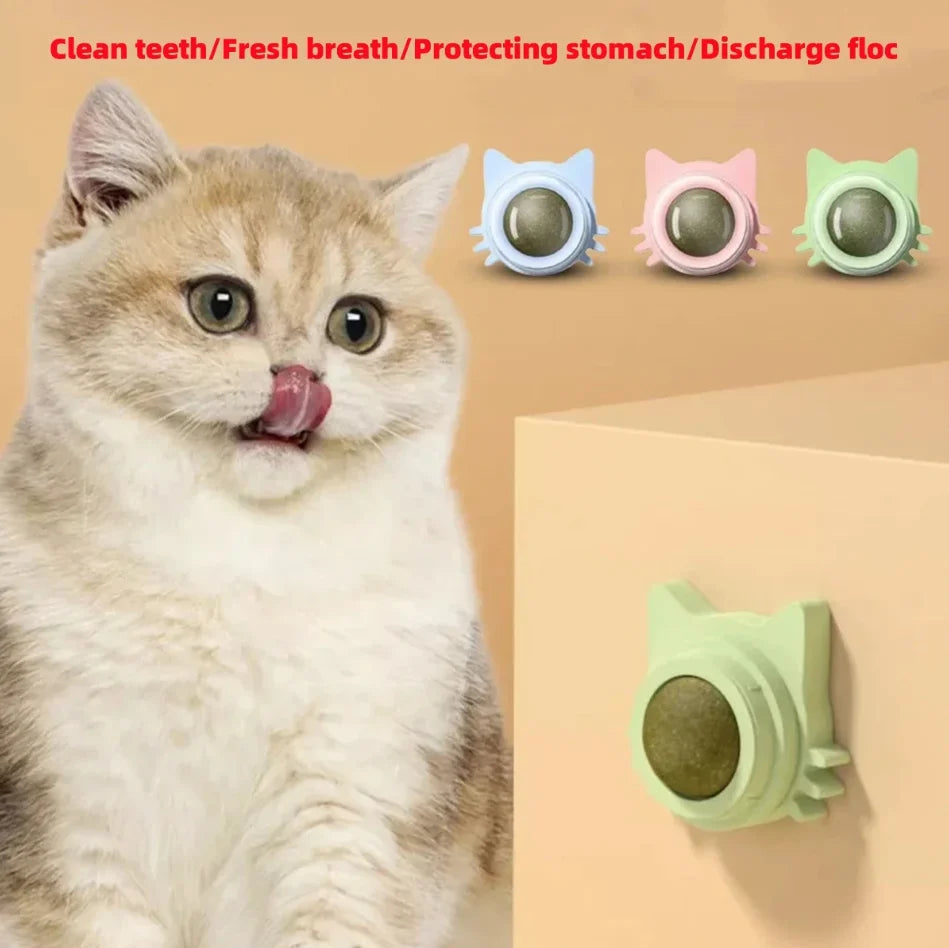 Brinquedos de Catnip para Gatos Internos Bola Giratória de Parede Interativa Hortelã Natural Melhora a Digestão Estimulante de Apetite Cuidados Dentários para Gatos