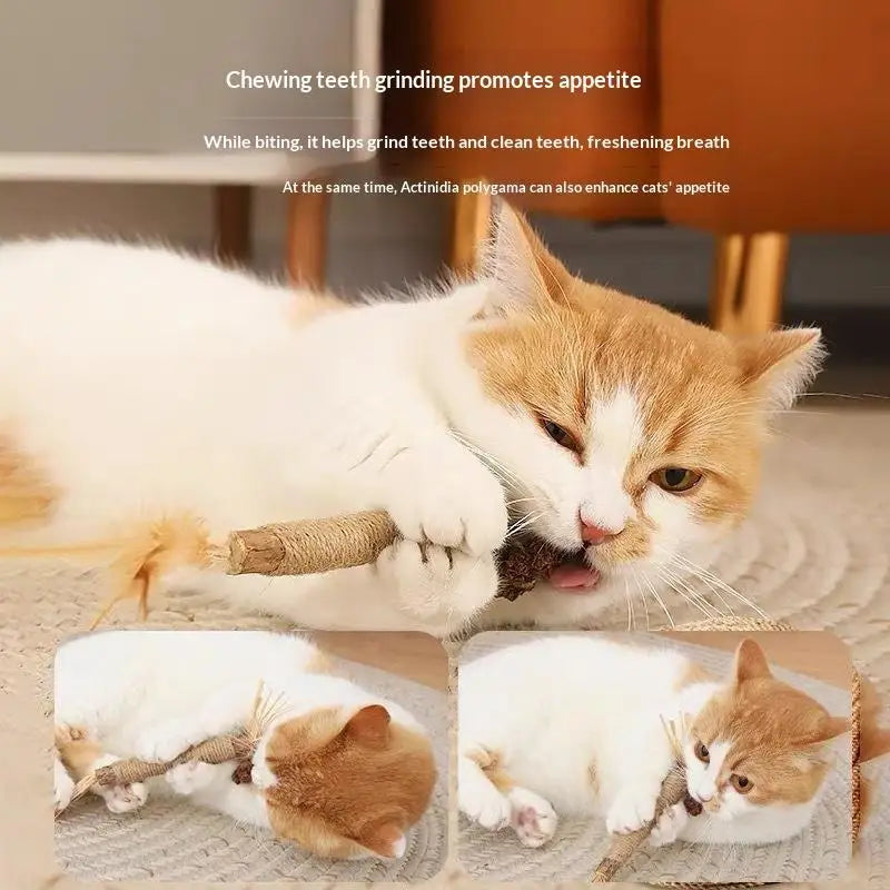 NOVO 1/2 Peças Brinquedos para Gato Feitos de Polygonum Odoratum Nó Cístico de Inseto Corda de Sisal Raffia Brinquedos para Limpeza de Dentes Varas Provocadoras para Gatos