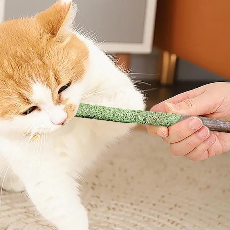 6 petiscos naturais para gatos, brinquedos para gatos para arranhar e morder com excitação de menta, dentes de gato de videira prateada para limpeza e tratamento de dentes de gato
