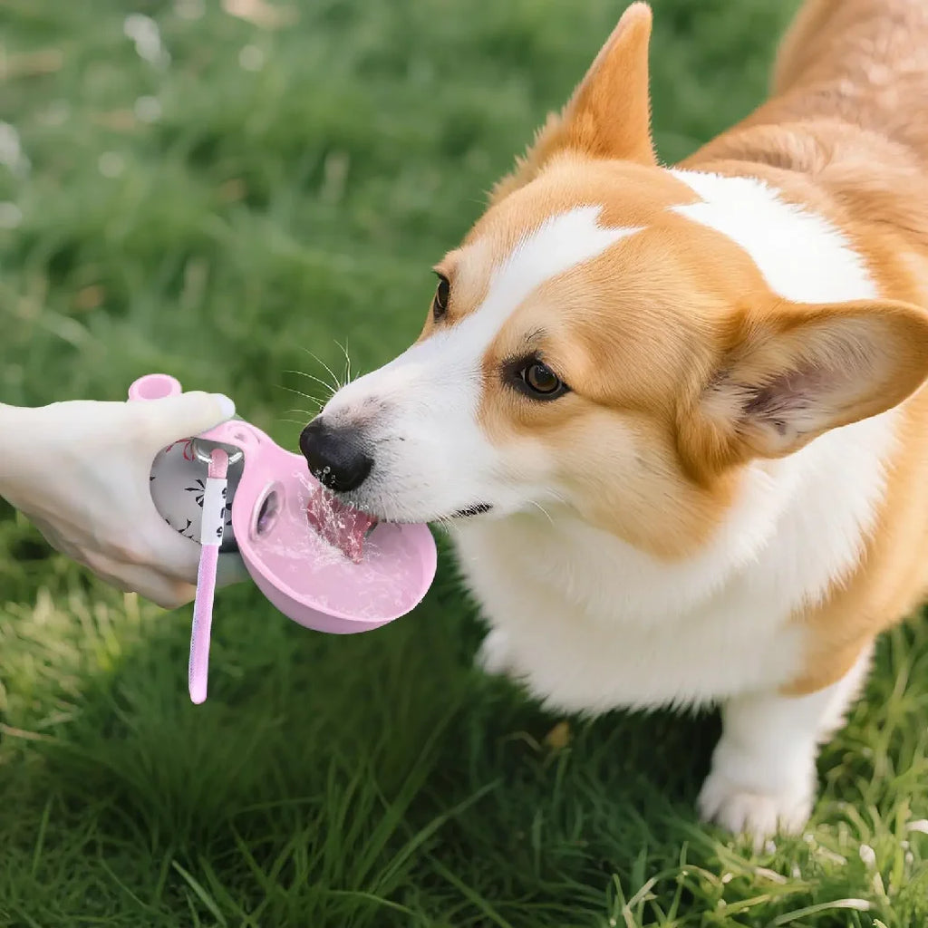 Garrafa de Água Portátil 2 em 1 para Cães Pequenos - Garrafa de Água de Viagem para Cães Compacta e à Prova de Vazamentos - Garrafa de Aço Inoxidável e Silicone