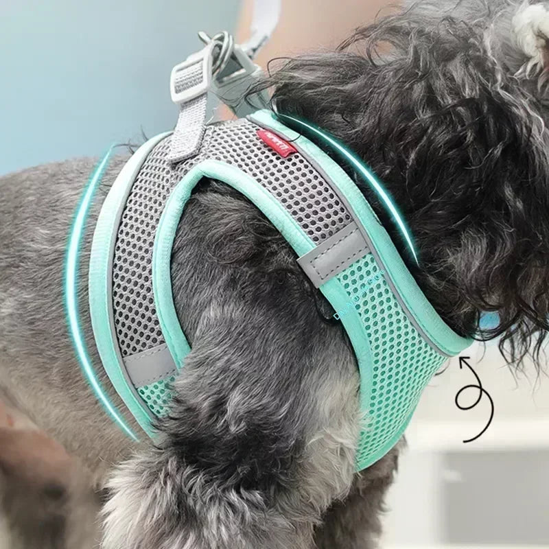 Conjunto de Coleira e Peitoral para Cães Pequenos Bulldog Francês Chihuahua Pug Coleira de Caminhada ao Ar Livre Coleira Ajustável para Filhotes de Cachorro e Gatos