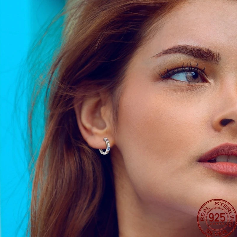 Earrings 925 Sterling Silver Colorful Shiny Zircon Earrings Temperament Charm Luxury Party Jewelry Gift Birthday Anniversary