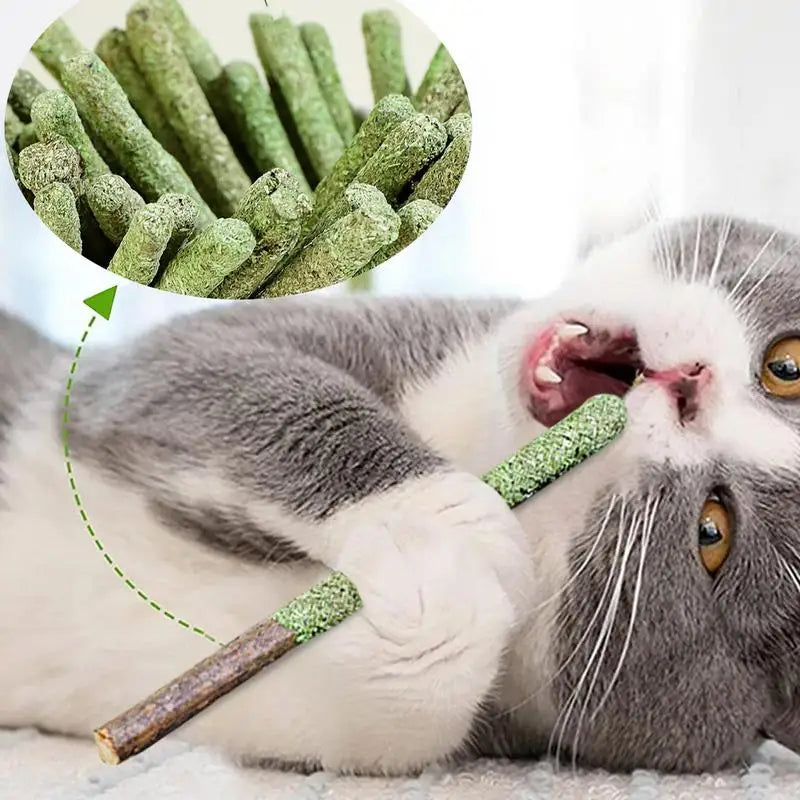 6 petiscos naturais para gatos, brinquedos para gatos para arranhar e morder com excitação de menta, dentes de gato de videira prateada para limpeza e tratamento de dentes de gato