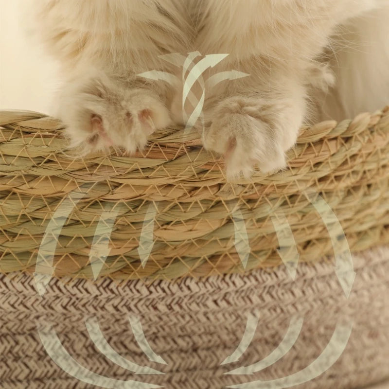 Natural Rattan Cat Bed Nest Universal Seasons Pumpgrass Portable Pet Bed Internet Celebrity Pet Products Haustierbett XY40CWC