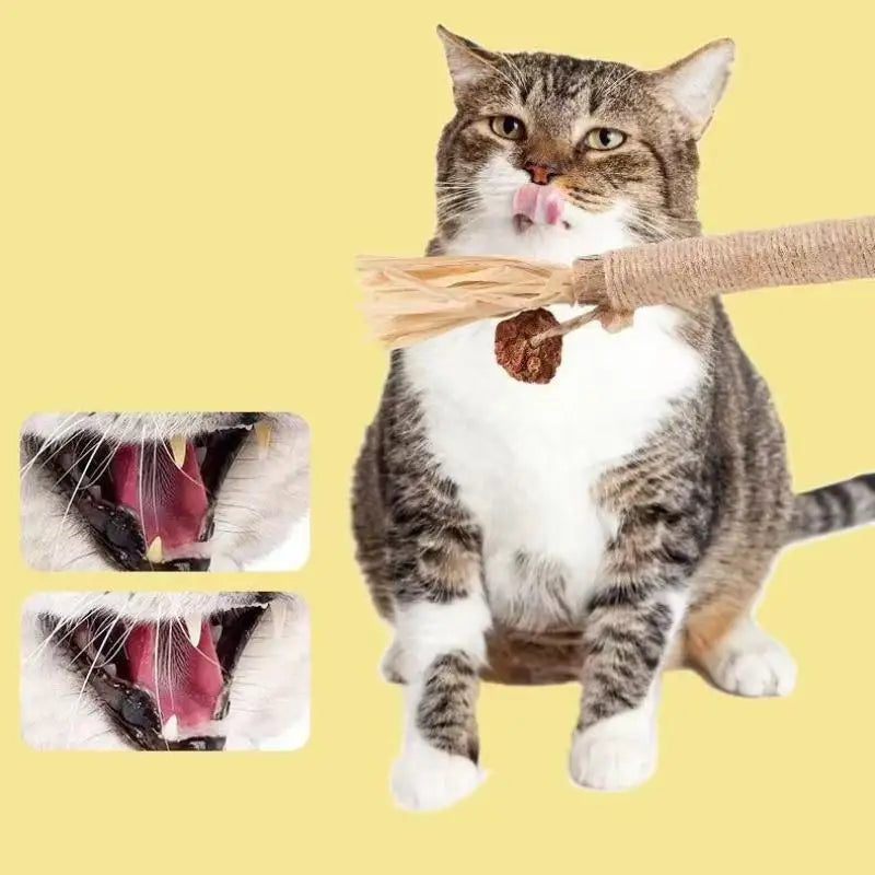 NOVO 1/2 Peças Brinquedos para Gato Feitos de Polygonum Odoratum Nó Cístico de Inseto Corda de Sisal Raffia Brinquedos para Limpeza de Dentes Varas Provocadoras para Gatos