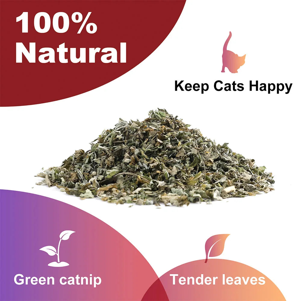 Pet's Cat Premium Catnip-56g Pote de Erva do Gato de Alta Potência, 100% Natural e Livre de Químicos, Seguro para Gatos de Todas as Idades